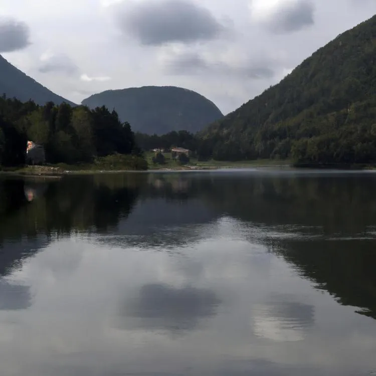 Rezerwaty przyrody na Podkarpaciu: Odkryj piękno dzikiej przyrody w regionie